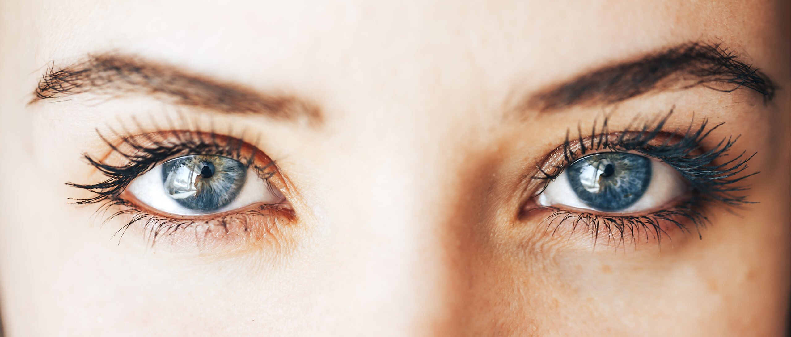 Como escolher as lentes de contato para vender em sua ótica