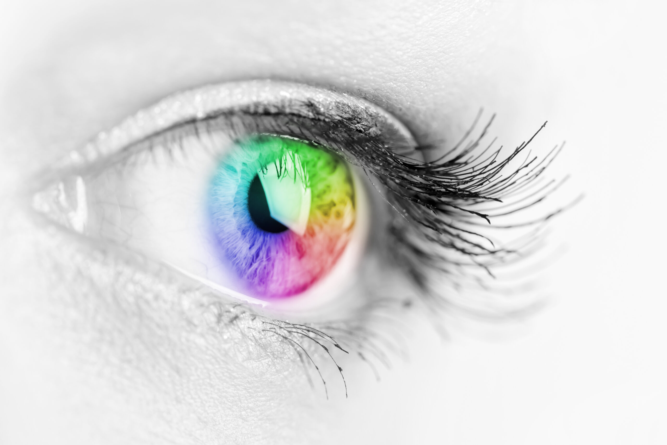 lentes de contato 